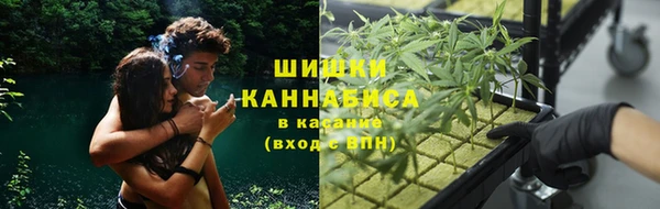 ПСИЛОЦИБИНОВЫЕ ГРИБЫ Навашино