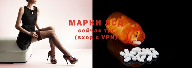 ПСИЛОЦИБИНОВЫЕ ГРИБЫ Навашино