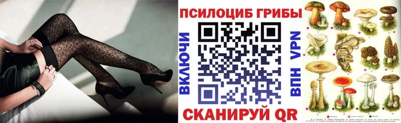 Галлюциногенные грибы Psilocybe  Мостовской 